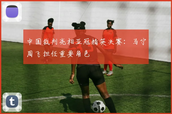 中国裁判亮相亚冠精英决赛：马宁周飞担任重要角色