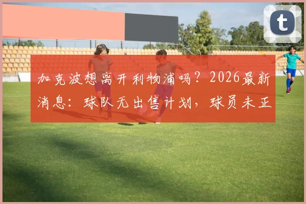 加克波想离开利物浦吗？2026最新消息：球队无出售计划，球员未正式申请离队
